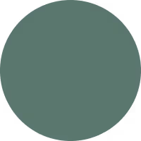 Solid circle filled with classic green color.