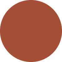 Solid terra cotta red colored circle.