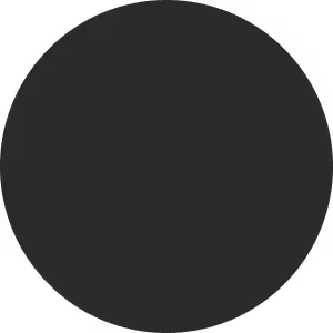 Solid black circle on a white background.