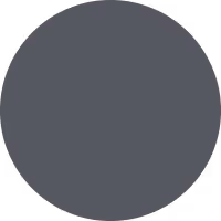 Solid charcoal gray circle on a white background.
