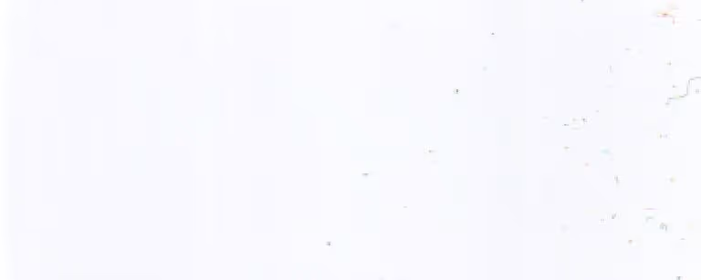 Plain white textured surface with small scattered speckles and faint marks.