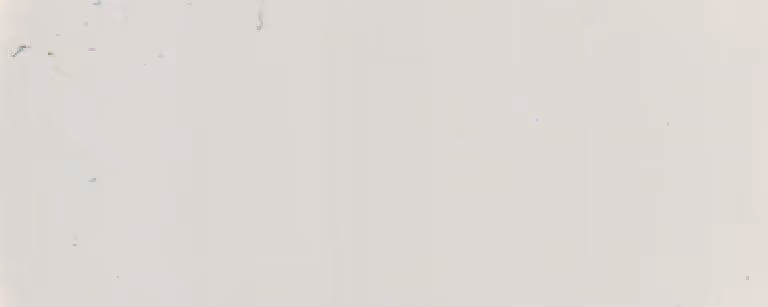 Solid light beige bone white color texture with subtle imperfections.