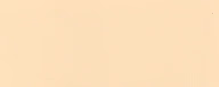 Plain light beige textured surface background.