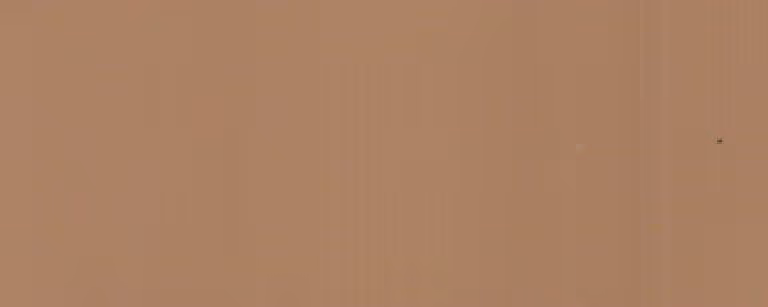 Solid light brown textured surface with a few small dark specks.