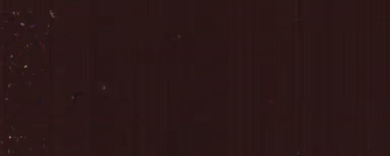 Dark brown textured surface with subtle variations and small scattered lighter specks.