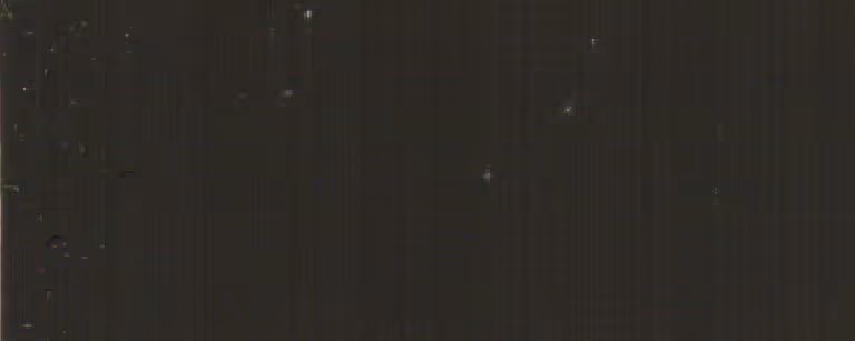 Close-up of black charcoal surface with small white specks scattered across it.