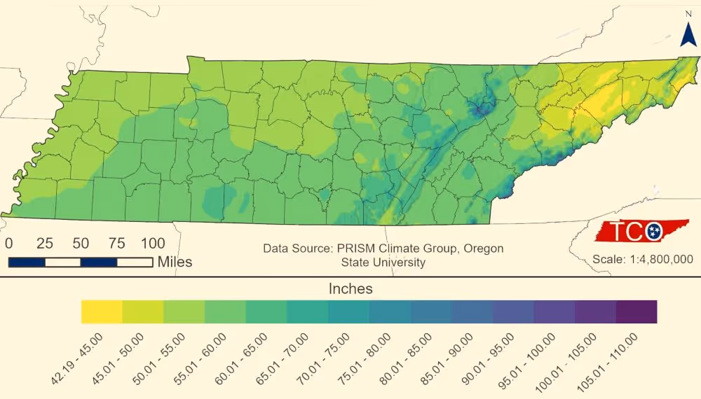 Map of Tennessee showing precipitation levels in inches with color gradient from yellow (42.19) to dark purple (110), with county boundaries and a scale in miles.