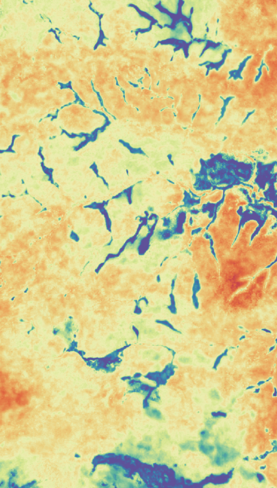 CSRD and TNFD reporting for organizations with extensive land footprint