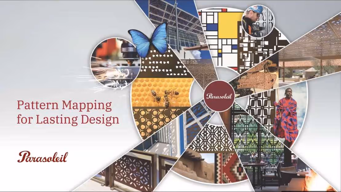 Lunch and Learn: Parasoleil