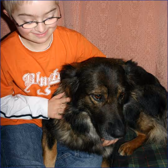 ein Kind mit Brlile, ca. 8 Jahre alt streichelt einen süßen Hund