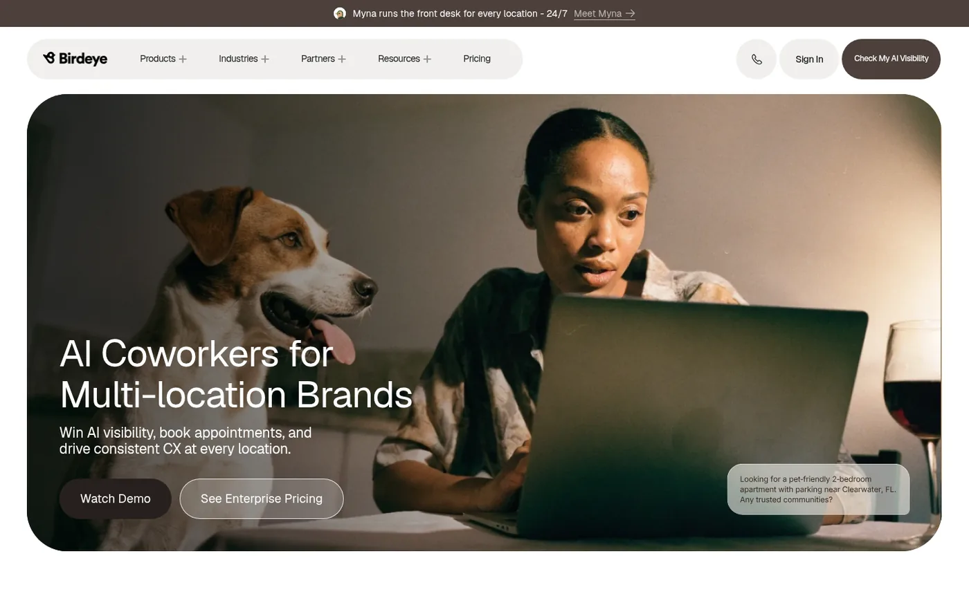 Birdeye homepage screenshot