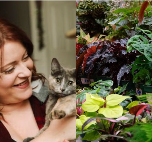 SEPT 13 | Paws & Petals in the Plaza
