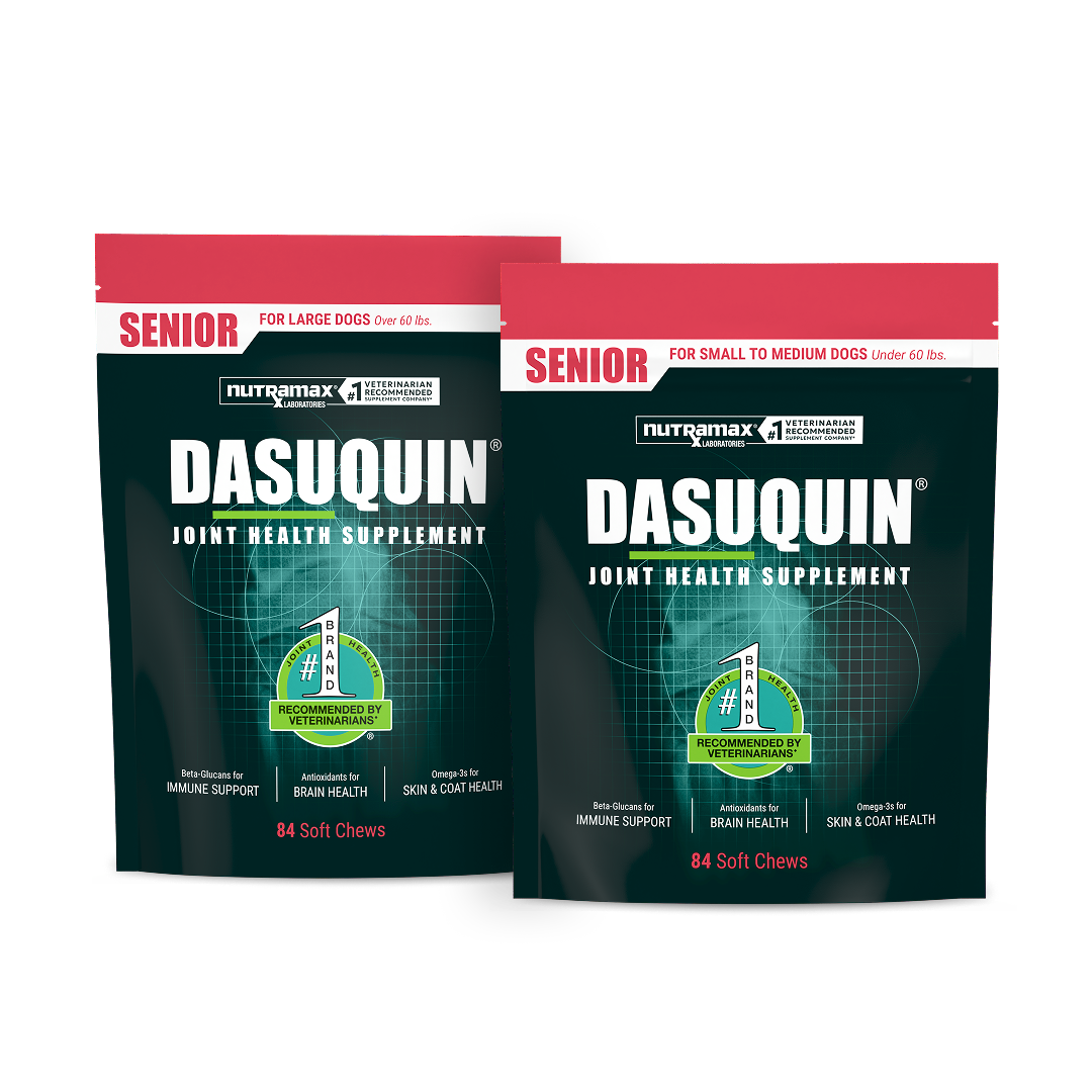 Dasuquin® Soft Chews for Senior Dogs