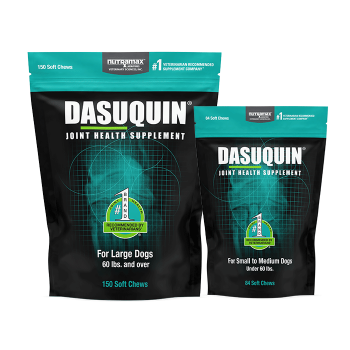 Dasuquin® Soft Chews