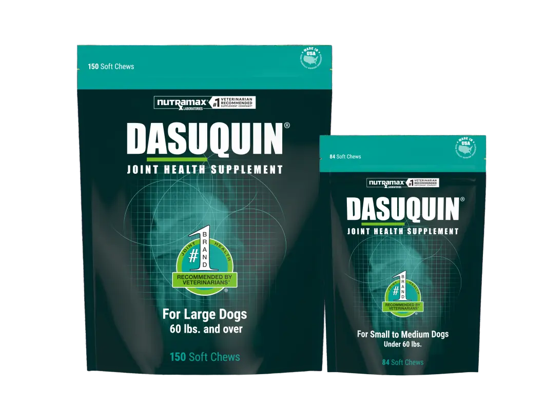 Dasuquin® Soft Chews