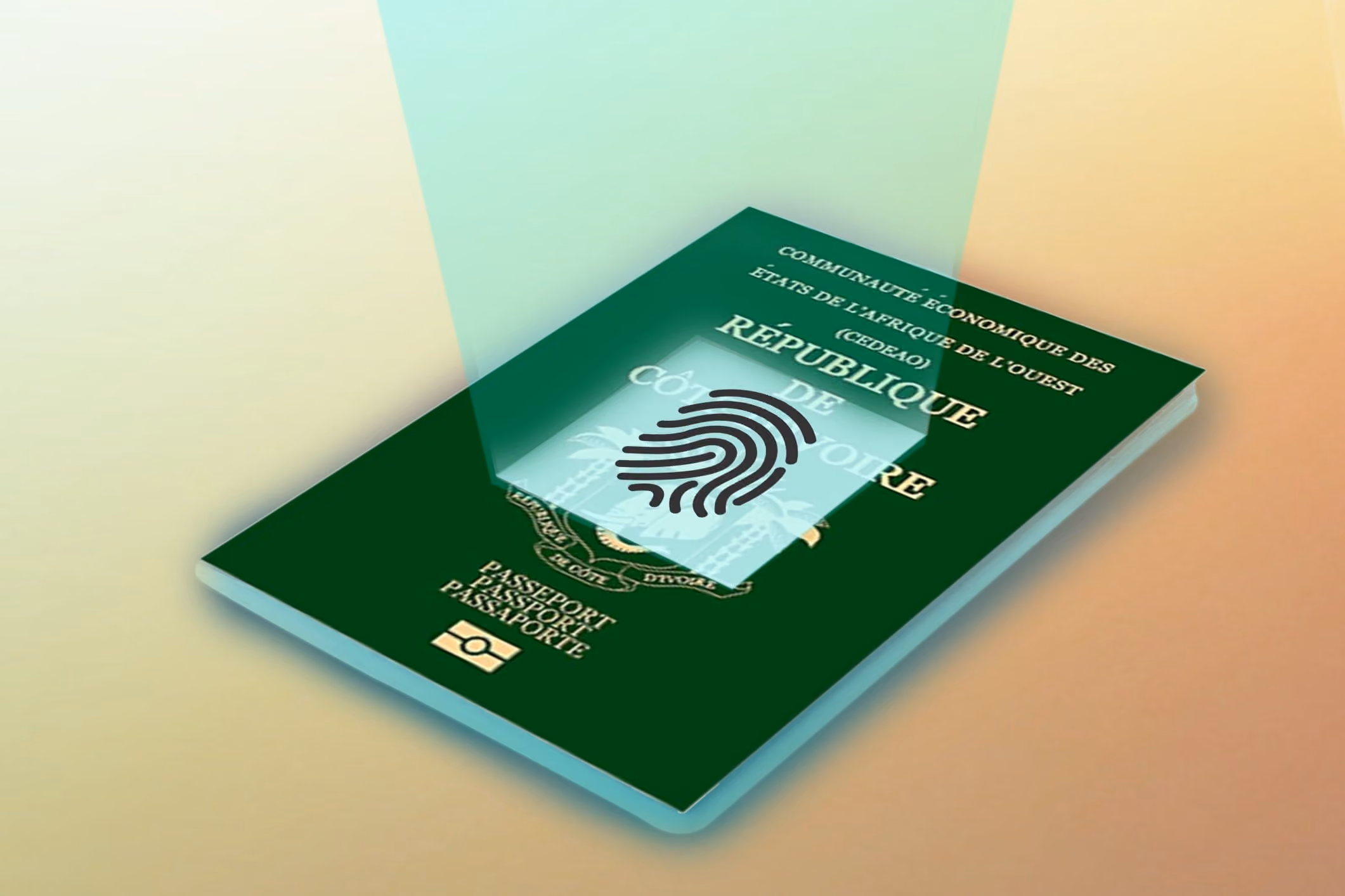 Viajes inteligentes: ¿qué hay detrás de un pasaporte biométrico?