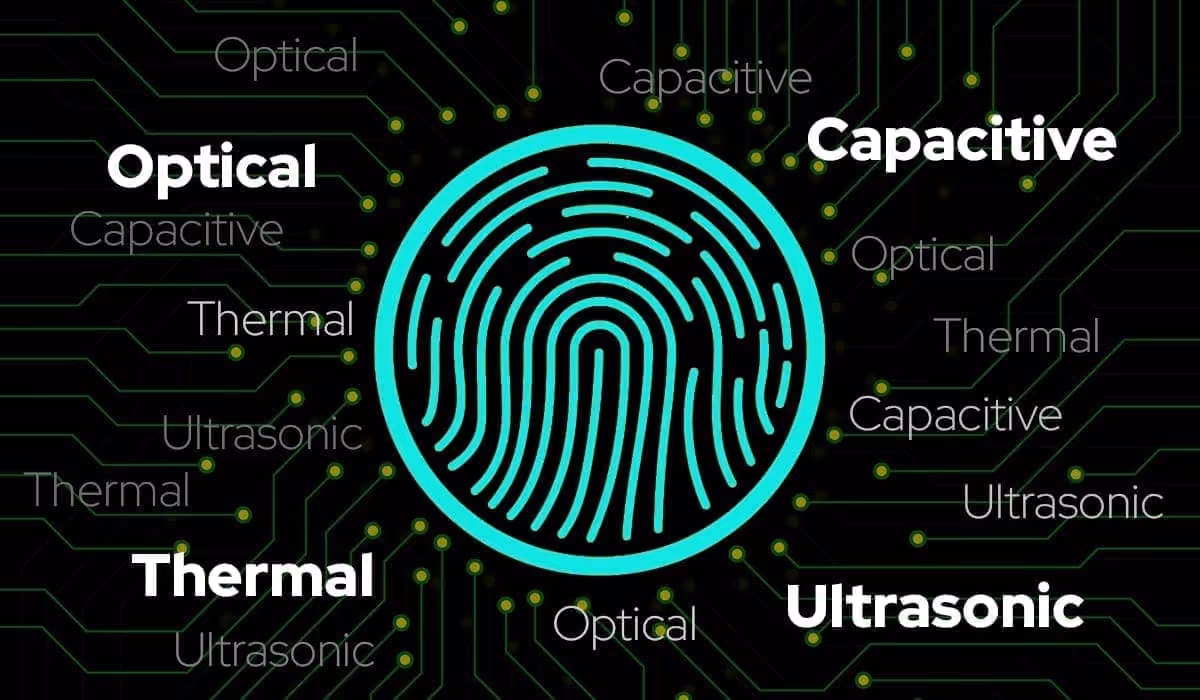 The Fingerprint File: 4 Fingerprint Sensor Types 