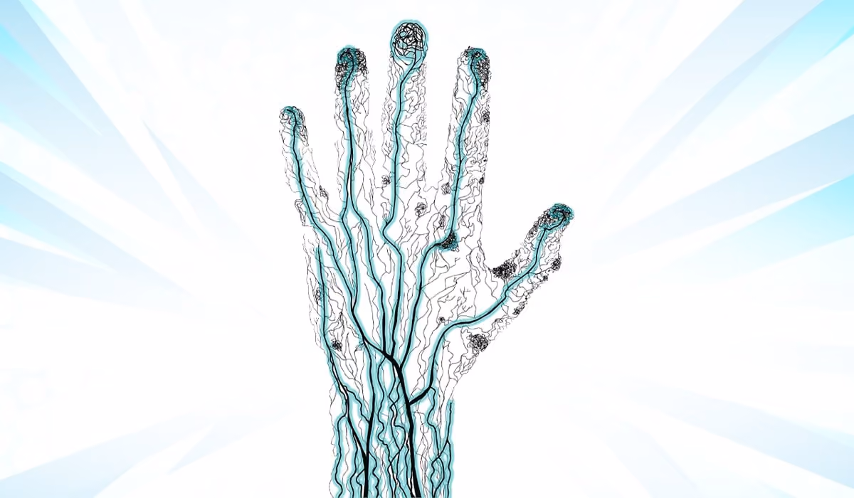 Tapping into Vein Biometrics: Reliable and Secure Authentication for the Emerging World