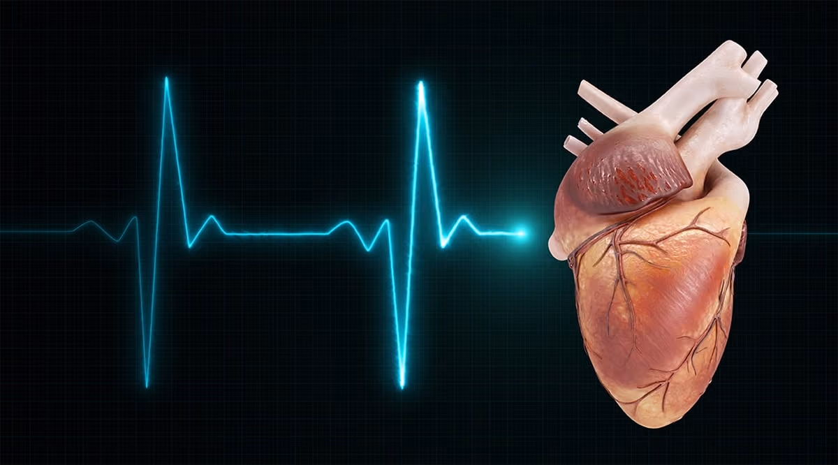 Heartbeat Biometrics