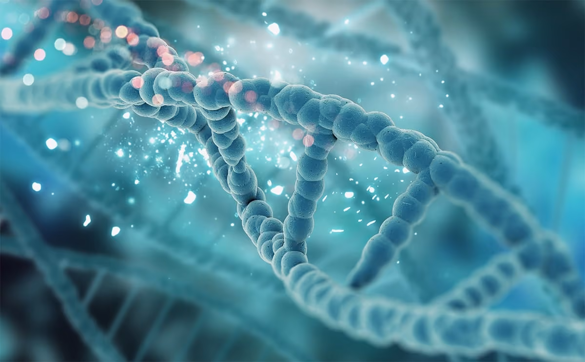 DNA Biometrics