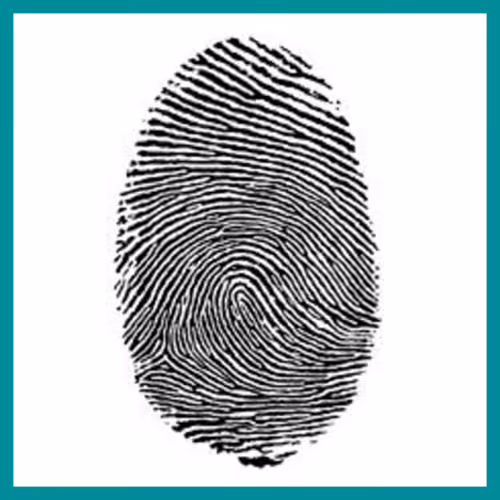 Fingerprint Patterns – Loops
