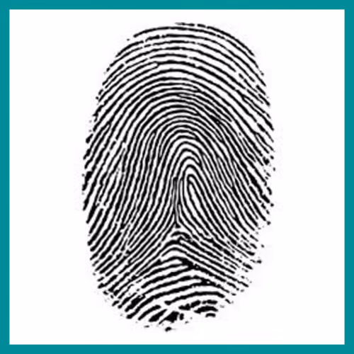Fingerprint Patterns – Arches