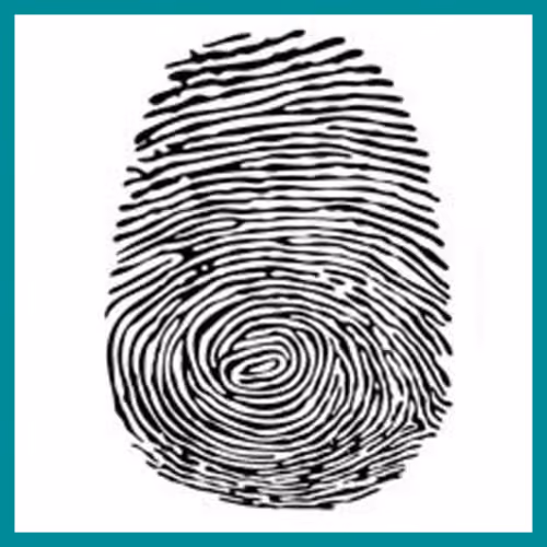 Fingerprint Patterns – Whorls