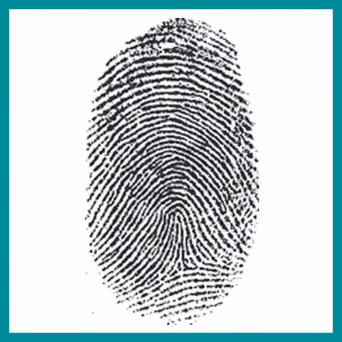 Fingerprint Patterns – Tented arch