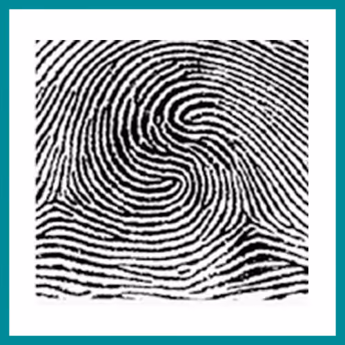 Fingerprint Patterns – Double loop