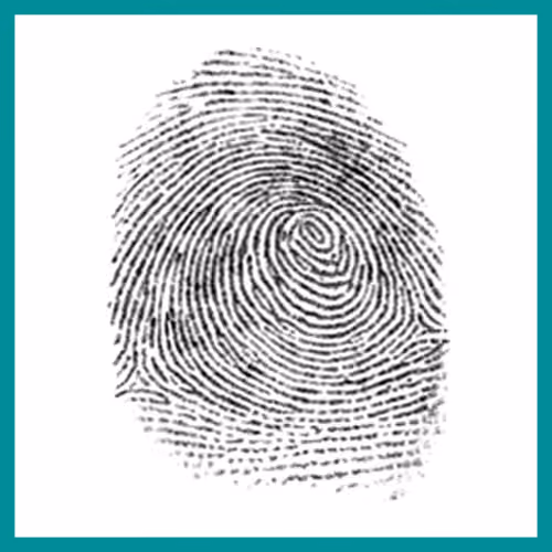 Fingerprint Patterns – Plain whorl