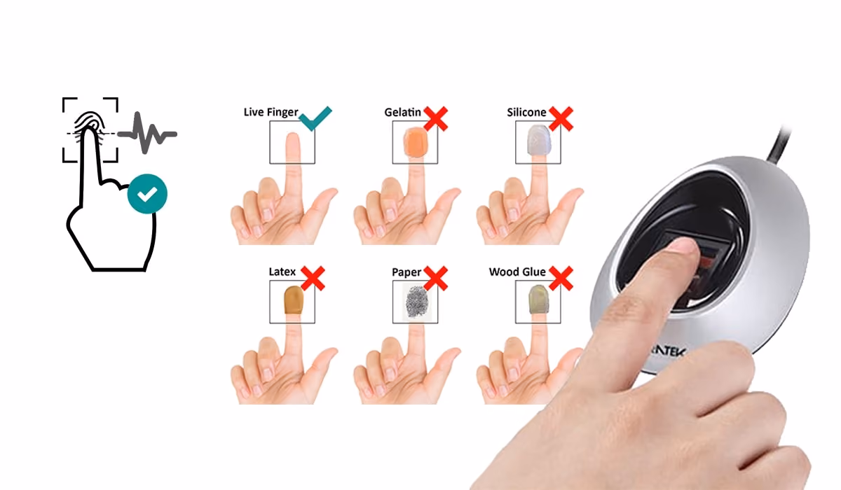 Live Finger Detection (LFD)