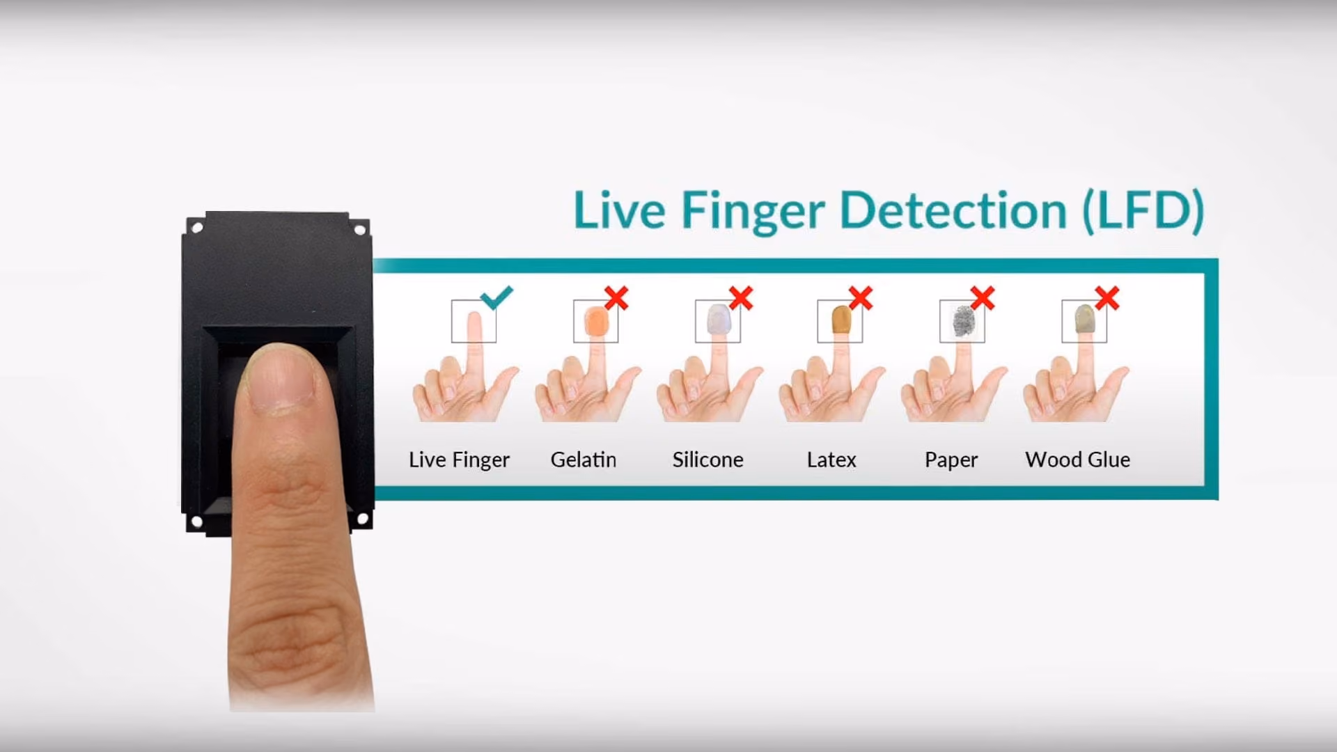 Live Finger Detection (LFD)