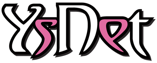 Ys Net logo