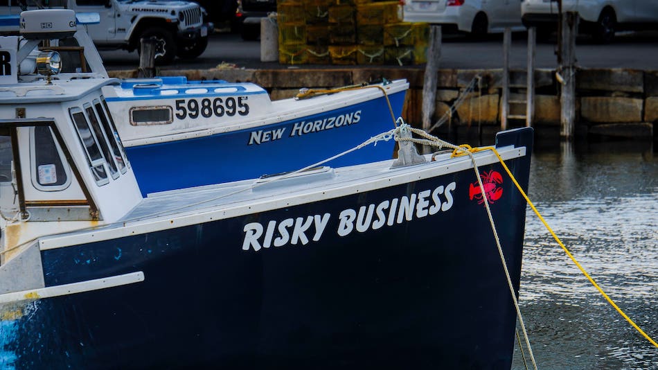 Location de bateau : un investissement rentable ?