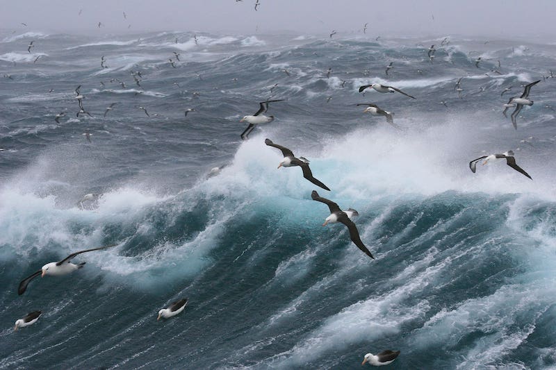 Best practices for sailing in rough seas