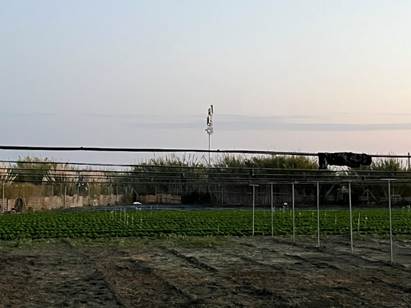 Trial in real field conditions on farmer site- Salobrena, Spain