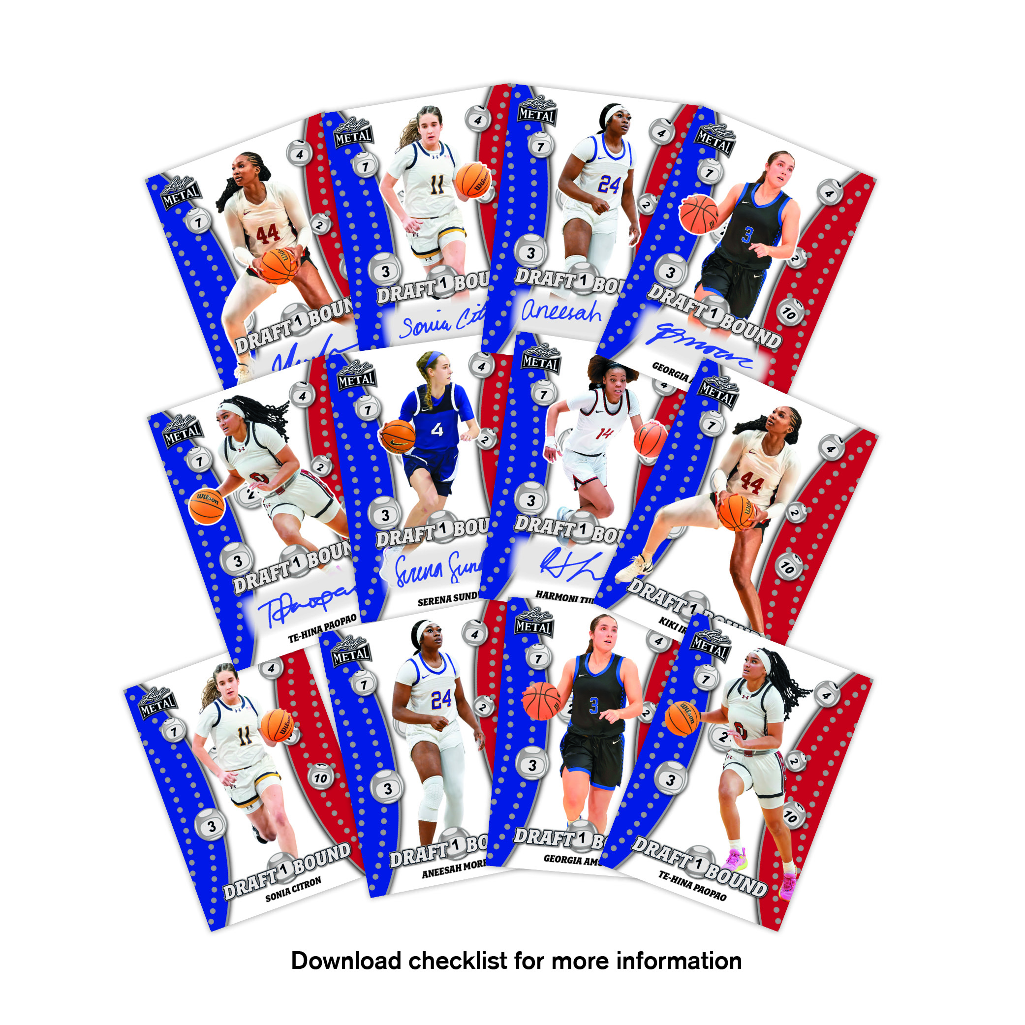 2025 Leaf Metal Draft Bound