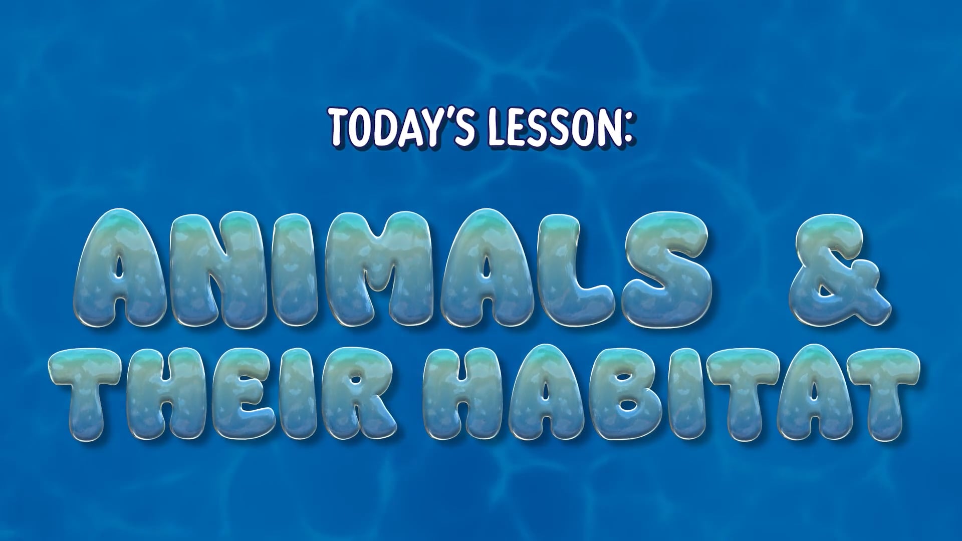 Ocean Animals & Their Habitats