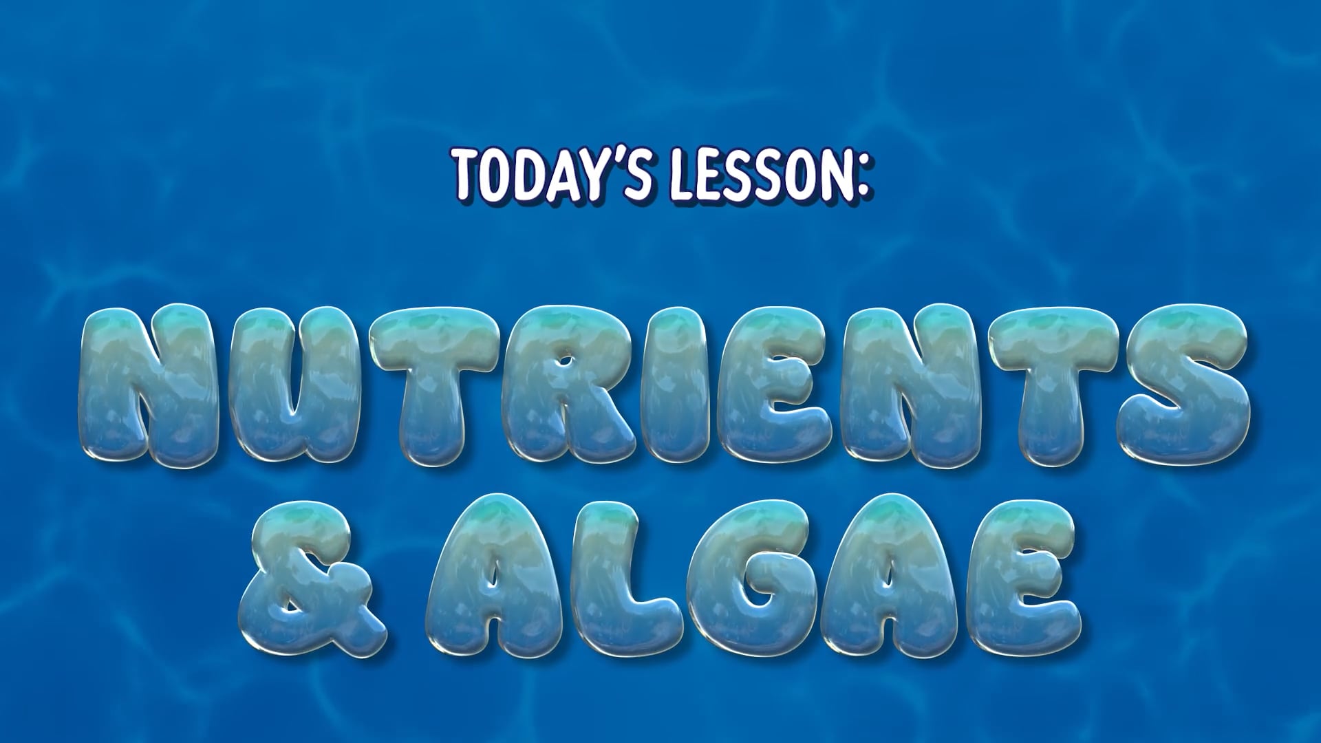 Nutrients & Algae