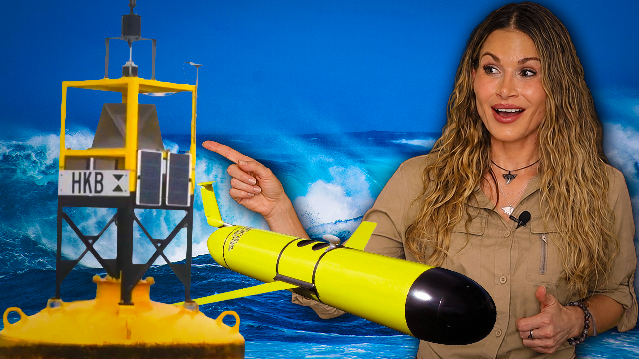 Ocean Sensors