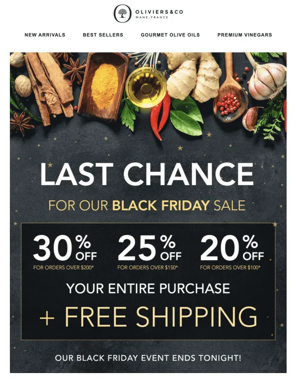 black friday email marketing - oliviers n co - last chance