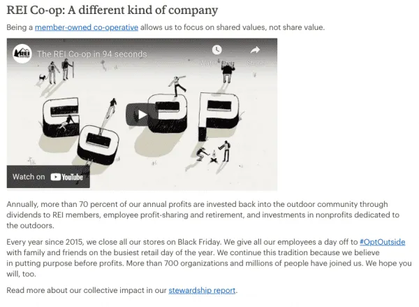 unique-selling-proposition-ecommerce-examples--rei-coop-different-kind-of-company-youtube