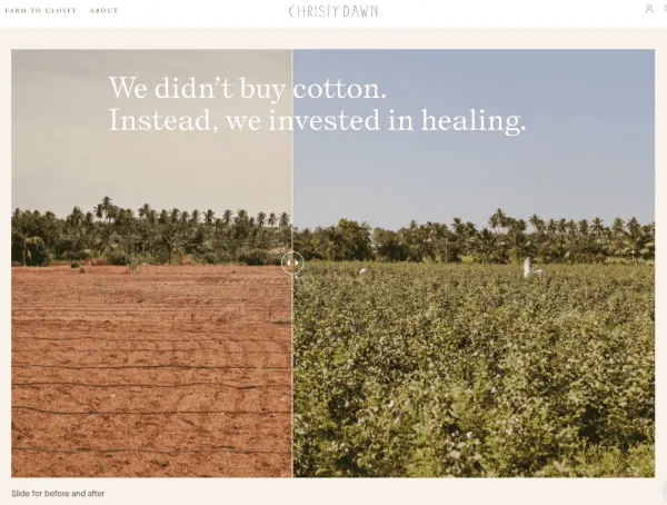 christy-dawn-brand-story-marketing--cotton-farming-regenerative-oshadi-collective