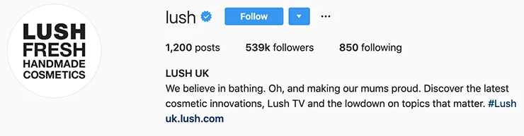 Lush cosmetics marketing strategy - instagram marketing bio ethical values
