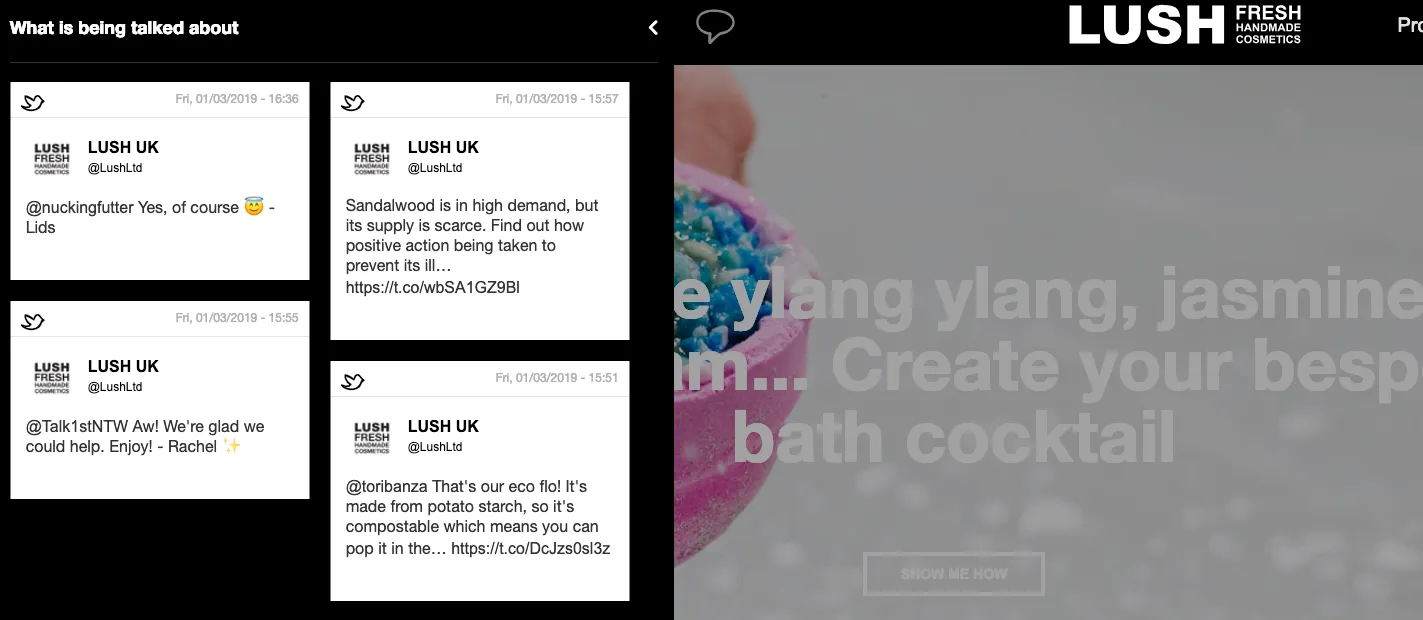 Lush Website Conversation