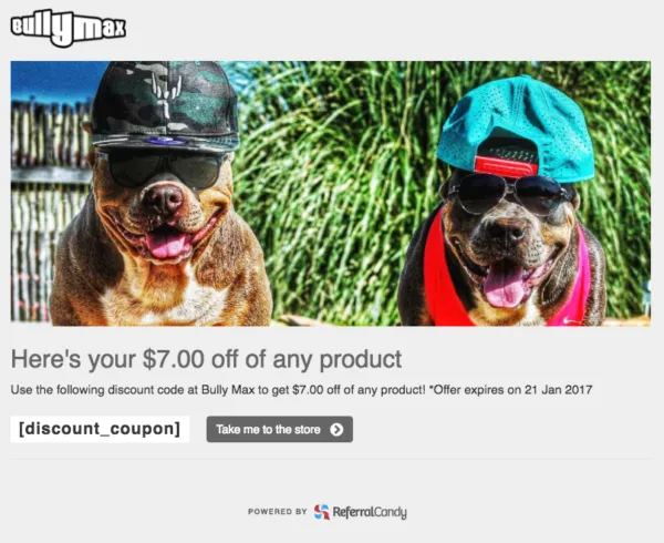 bullymax-referral-landing-page