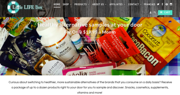 subscription-services-little-life-box