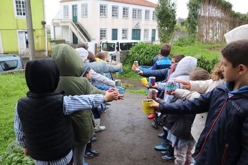 Alunos do Colégio de Santo António fazem sementeiras da primavera