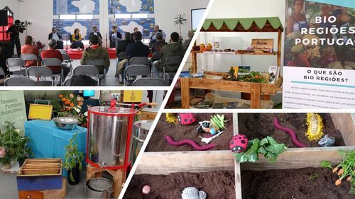 Trybio promove Bio-Região e une produtores e consumidores na Feira Agrícola e Comercial do Faial