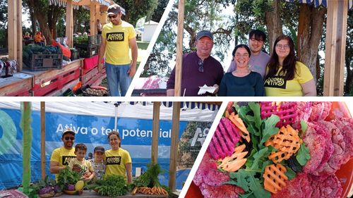 Jogos de Primavera: Desporto, Agricultura Biológica e Saúde!